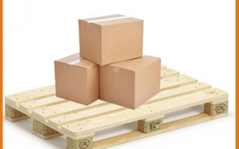 Carton Packing and Detecting Instrument